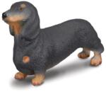 CollectA COLECTA Dachshund (M1188185) Figurina