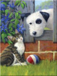 SMT Painting Royal 22x30cm Joc cu minge (PJS66) Carte de colorat