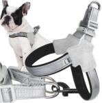 Real Fényvisszaverő mellényhám kis kutya vagy macska számára M méret (RC-K-833)