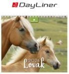 DAYLINER Naptár, asztali, álló, DAYLINER Lovak (DL6AS-LOFAL-HH) - papir25