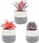  Boho pozsgások íróasztalra 10 cm szett 3 db stílusos dekorációs kosarak XXL (2393100)
