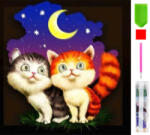 Real 5D Gyémánt Festés Macskás Mozaik Készlet 20 x 20 cm (RC-K-022)