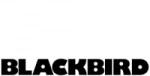 BlackBird HDMI apa - DVI anya átalakító adapter fekete (BH1635) (BH1635)