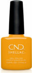 CND Shellac - Among the Marigolds 7, 3ml TF