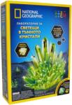 National Geographic Set educațional National Geographic STEM - Laboratorul de cristale strălucitoare (BGNGGIDCRYSTAL/BG01)