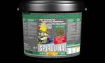 Jbl Spirulina Haleleség - Algaevőknek - 950g (JBL30003)