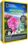 National Geographic Set educațional National Geographic STEM - Grădina de Cristal (BGNGCRYSGRDN/BG03)