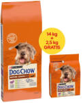 Dog Chow PURINA Dog Chow Mature Senior Lamb 14kg + 2, 5kg + MEGLEPETÉS A KUTYÁNAK