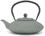 Bredemeijer Ceainic infuzor de ceai XILIN 1, 25 l, transparent verde, fontă, Bredemeijer (BRED153090)
