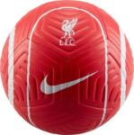 Nike Liverpool FC Strike (DJ9961 657) (DJ9961 657)