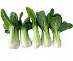  Pak Choi friss ropogós káposzta - 1kg (Świeży pak choi)