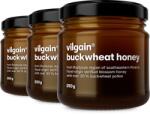 Vilgain Multipack 3 pièces - hajdina méz -⁠ Enyhén kesernyés, értékes tápanyagokban gazdag méz a híres Roztocze régióból, ideális teához vagy zabkásához