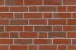 ABC Caramida Klinker Tecklenburg bunt-geflammt, NF (240x115x71 mm) (ABC-200559)