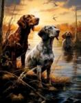 NORIMPEX - Puzzle Tablou Diamant: Zone umede 30x40cm - 1 - 39 piese