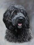 NORIMPEX - Puzzle Tablou Diamant: Cockapoo negru 30x40cm - 1 - 39 piese