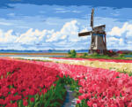 Alkotásutca Holland tulipánmezők - Számfestő készlet kereten 40x50