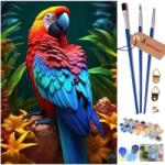 sportown Festmény számok szerint Papagáj 40x50 vászonkép gyerekeknek (KAT77146)