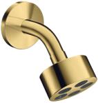Hansgrohe One - Pălărie de duș, diametru 7 cm, EcoSmart, aspect auriu lustruit 48490990 (48490990)