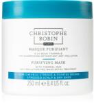 Christophe Robin Purifying Mask почистваща маска за коса, изложена на замърсен въздух 250ml