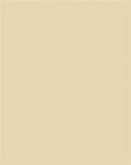 FOLIA Dekorkarton, 2 oldalas, 50x70cm, 220 g, 10 lap, FOLIA, bézs (FL61221010) (6122/10 10)