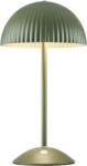 Markslöjd Zin veioză 2x20 W verde 109143 (109143)