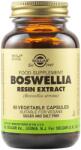 Solgar Boswellia Resin Extract, 60 capsule vegetale, Solgar