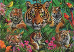 Educa 19902 - Tigris Dzsungel - 500 db-os puzzle (19902)