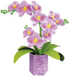 Educa 20135 - Orchidea - Floral Art 3D puzzle (20135)