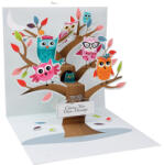  Popshots képeslap, négyzet, baglyok a fán (PS1034)