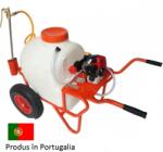 Travandi PULVERIZATOR tip roaba DORMAK SH 100/30 |Honda: GP160 (077BRSH10030P) Pulverizator