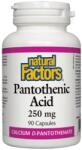 Natural Factors Panthothenic Acid 250 mg, 90 Capsules