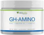 HS Labs GH Amino [200 грама]