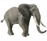 CollectA COLECȚIA elefant african (M1188966) Figurina