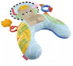 Mattel Fisher-Price: Възглавничка за коремче с мече (JHB44)