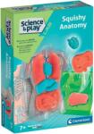 Clementoni Set educațional Clementoni Science & Play - Squishy Anatomy (75130)