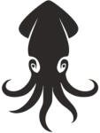 Kraken Baits Karma Spice Shelf Life Boilie fűszeres bojli CUBE (K-KSB24C)