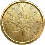 Royal Canadian Mint | Maple Leaf 1/10 uncia | aranyérme (1091110)