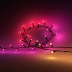 Philips Hue White and colour ambience Festavia fényfüzér (929003674402)