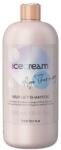 Inebrya Ice Cream Age Therapy Hair Lift Shampoo 1000 ml