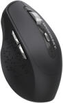 WOZINSKY WMGK-1134 Mouse