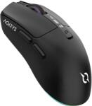 AQIRYS M2BK Mouse