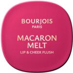 Bourjois Macaron Melt ajak és arc pirosító /04