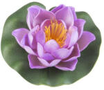 Velda Lótusz rózsaszín virág 10 cm