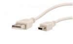 T'nB Cablu TnB USB Mini USB 1 m negru USBMIUSB1 (USBMIUSB1)