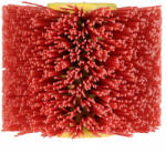 Einhell Nylon kefe 120x100mm TP-BR 18/32 Li BL -hez (4468011)