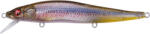 Megabass VISION ONETEN 110.5mm 14gr FA GHOST KAWAMUTSU (MB530548) - koi-farm