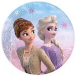  Disney Jégvarázs Wind papírtányér 8 db-os 20 cm (PNN94052)