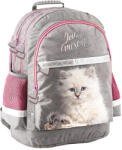 PASO Rucsac școlar Paso cu trei compartimente Pisică (PP24AW-116)