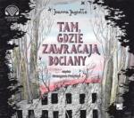Joanna Jagiełło Tam gdzie zawracają bociany audiobook