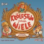 Katarzyna Wasilkowska Królestwo jakich wiele Audiobook